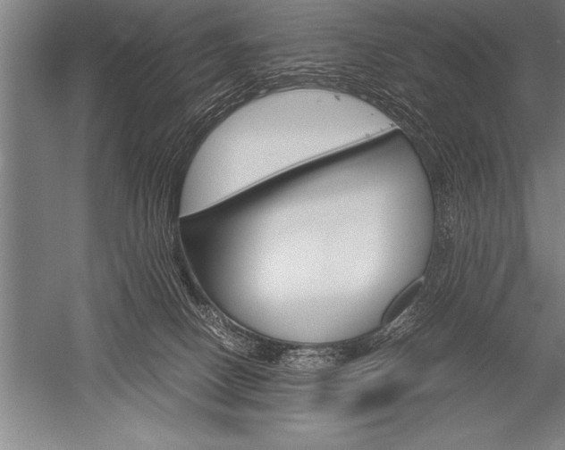 X0000052600082200507081831