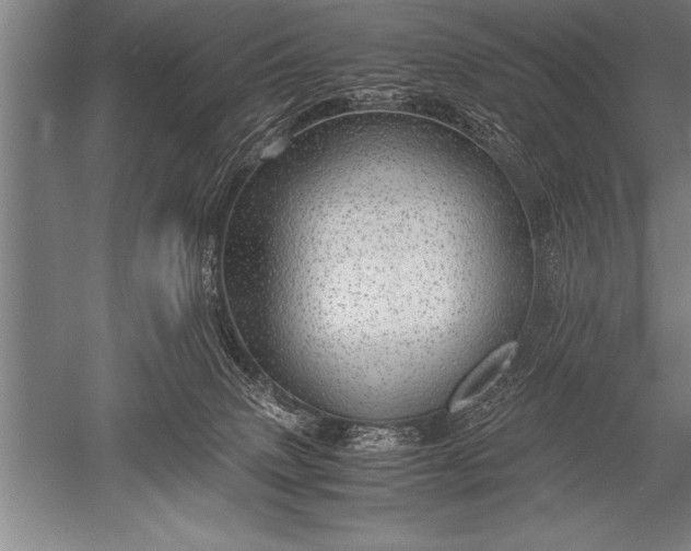 X0000052600083200507081831