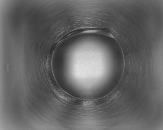 X0000052600088200507081831