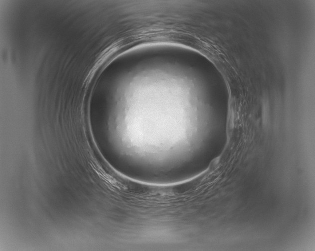 X0000052600099200507081831