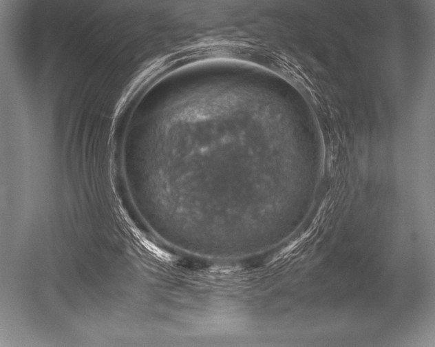X0000052600101200507081831