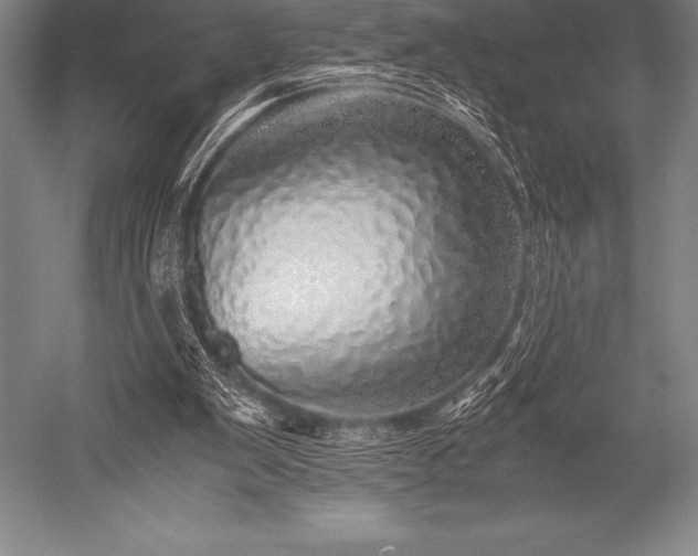 X0000052600103200507081831
