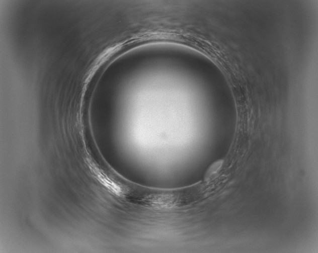 X0000052600104200507081831