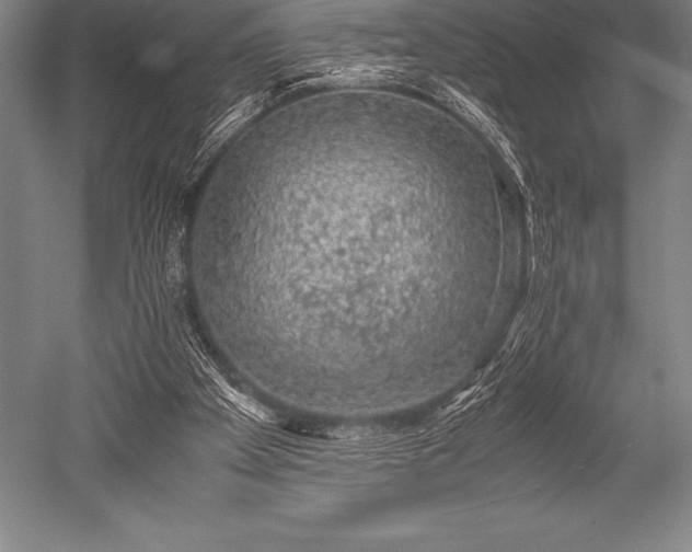 X0000052600105200507081831