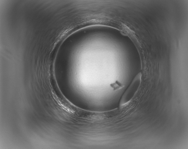 X0000052600106200507081831