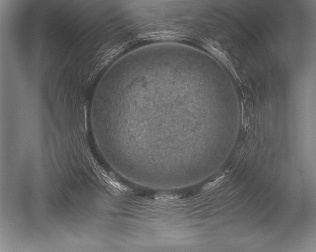 X0000052600109200507081830