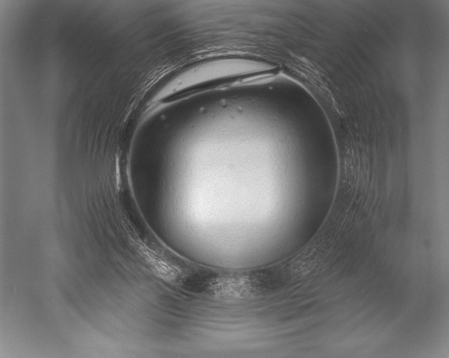 X0000052600110200507081830
