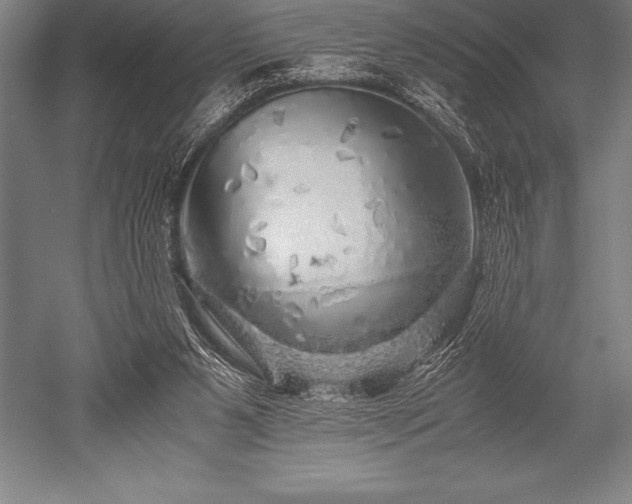 X0000052600111200507081830