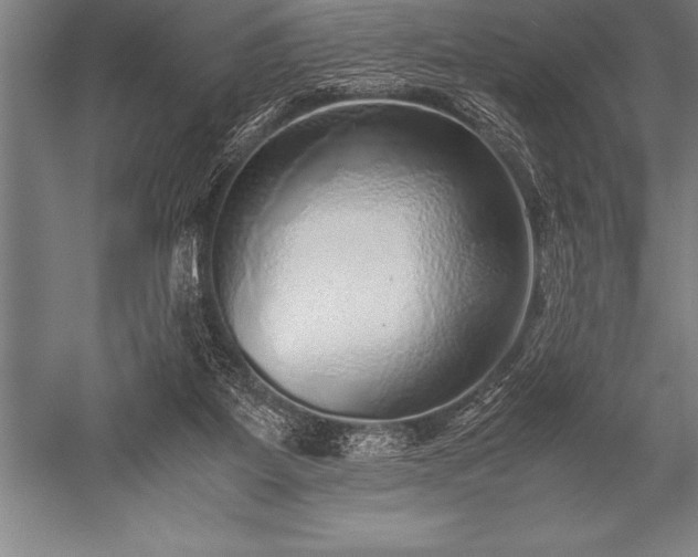 X0000052600115200507081830