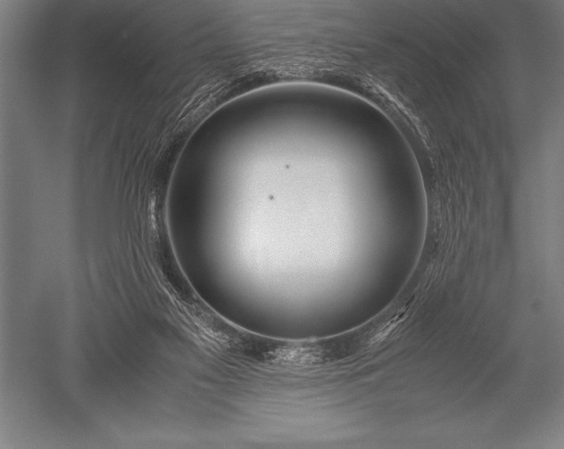X0000052600117200507081830