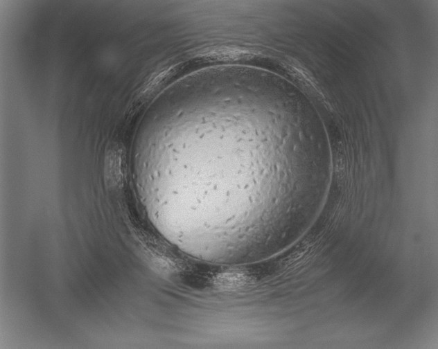 X0000052600119200507081830