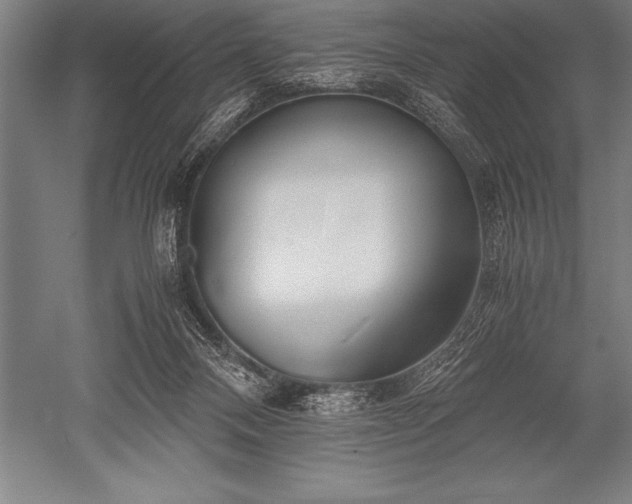 X0000052600120200507081830