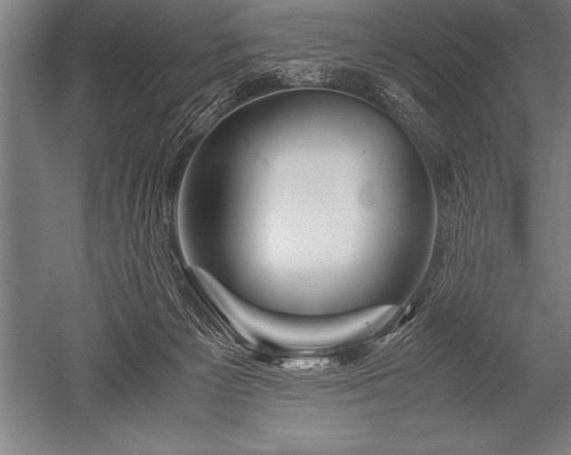X0000052600125200507081830