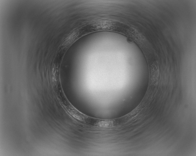 X0000052600126200507081830