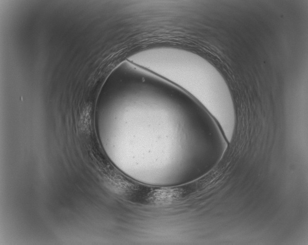 X0000052600127200507081830
