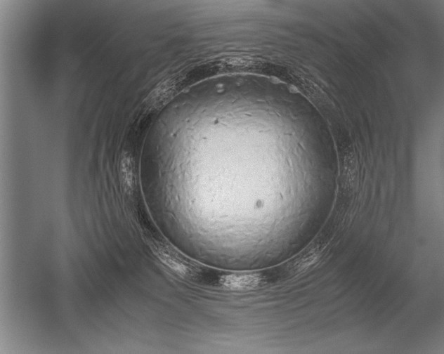X0000052600135200507081830