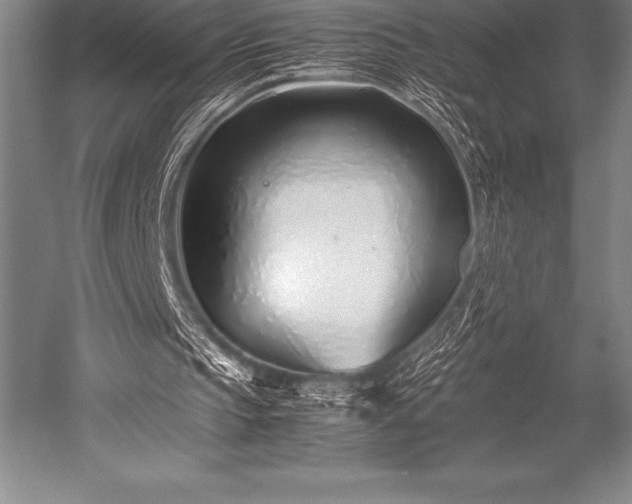X0000052600145200507081829