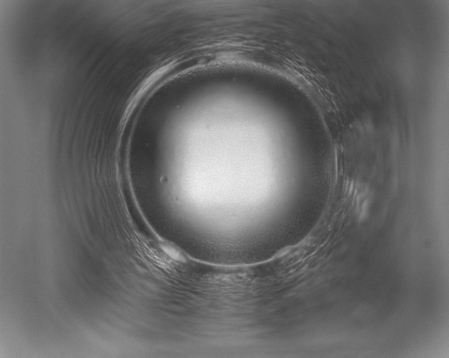 X0000052600147200507081829