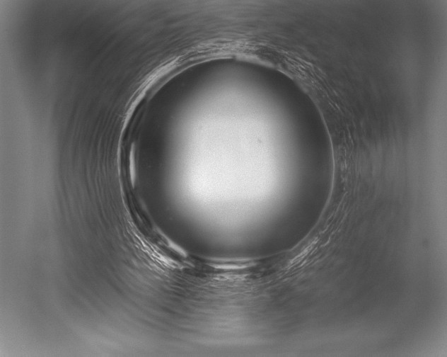 X0000052600148200507081829