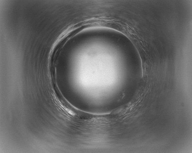 X0000052600150200507081829