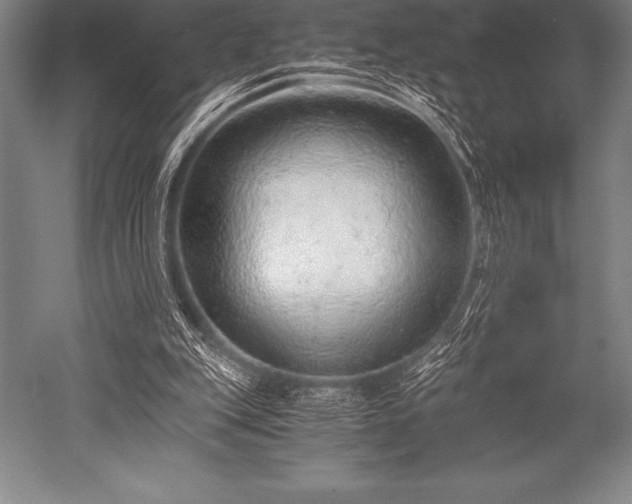 X0000052600151200507081829