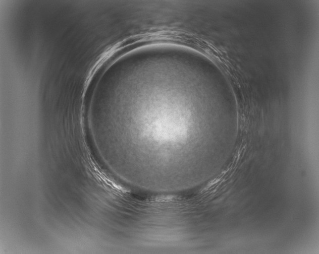 X0000052600152200507081829