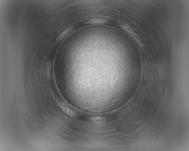 X0000052600153200507081829