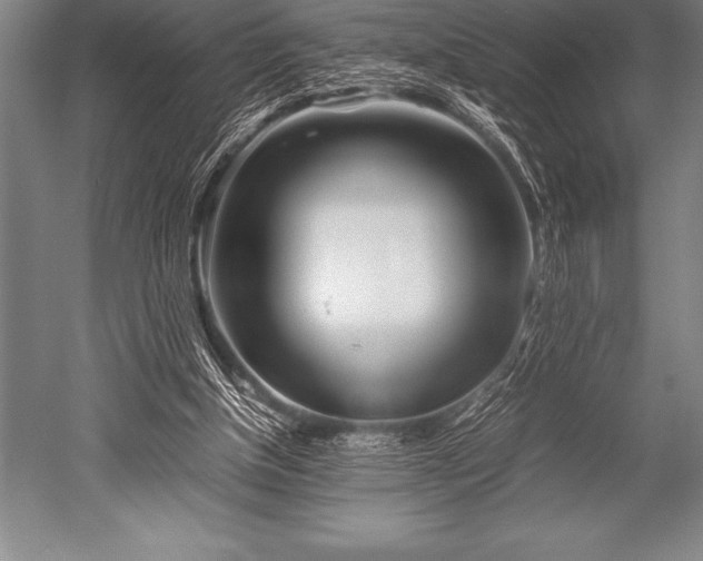 X0000052600154200507081829