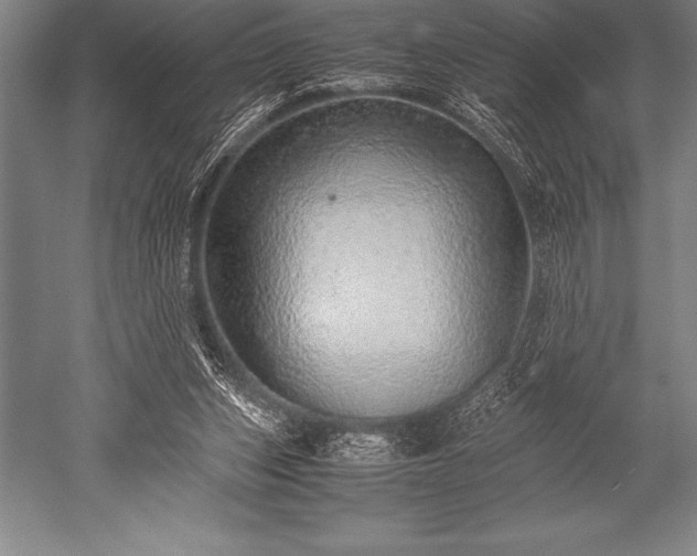 X0000052600159200507081829