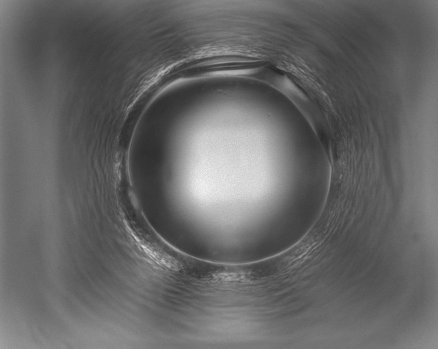 X0000052600160200507081829