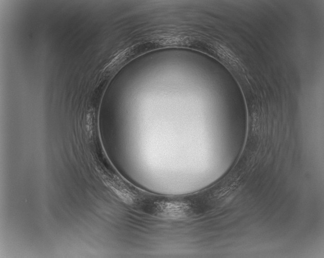 X0000052600165200507081829