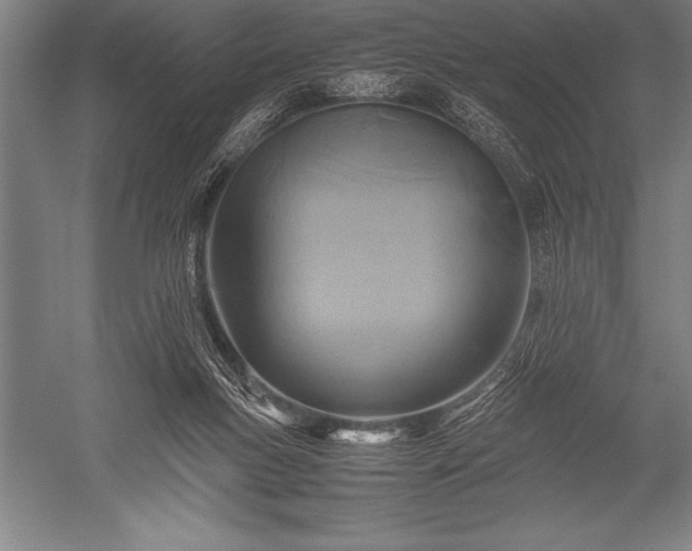 X0000052600167200507081829