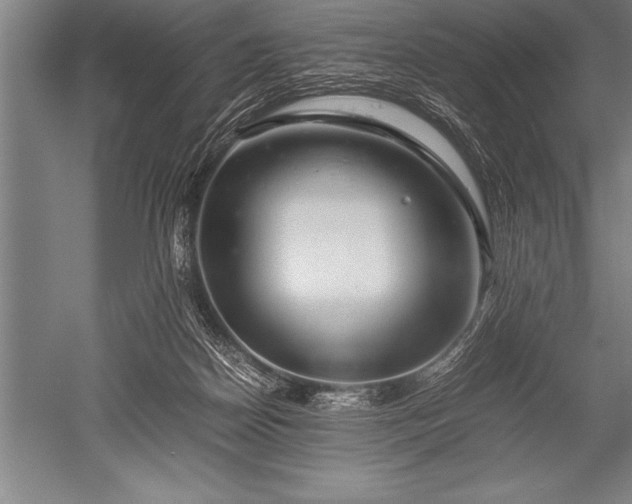 X0000052600170200507081829