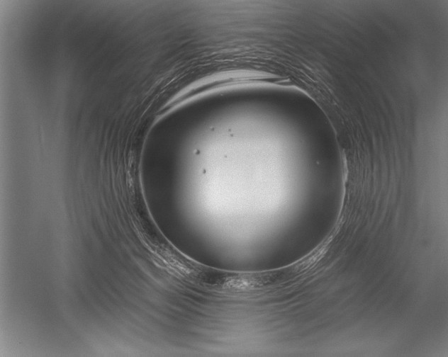 X0000052600174200507081830