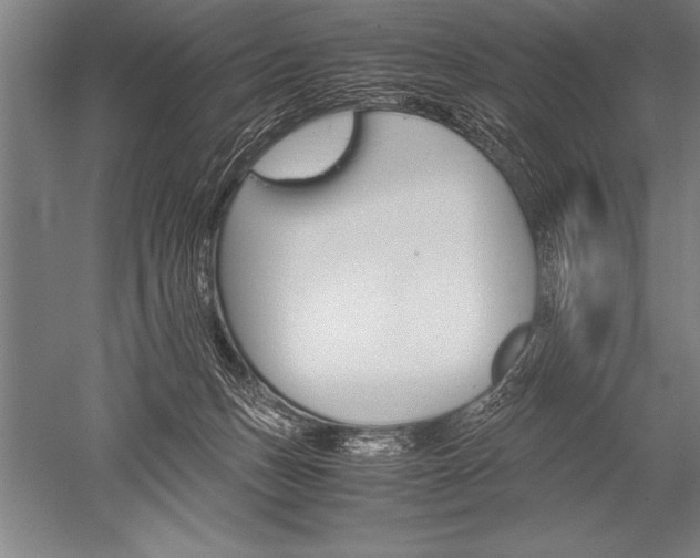 X0000052600175200507081830