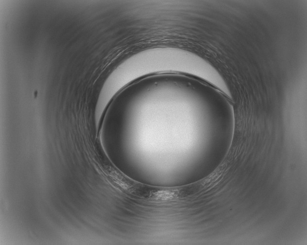 X0000052600176200507081830
