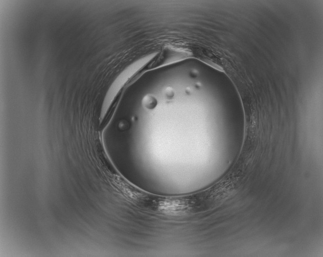 X0000052600177200507081830