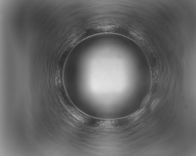 X0000052600182200507081830