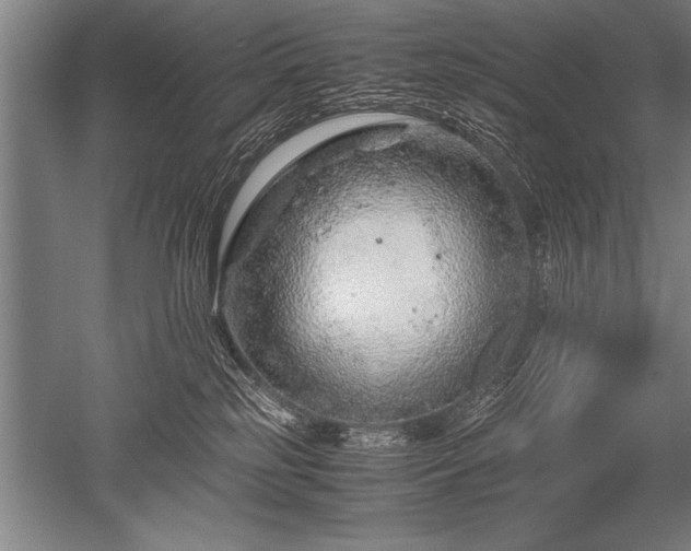 X0000052600185200507081830
