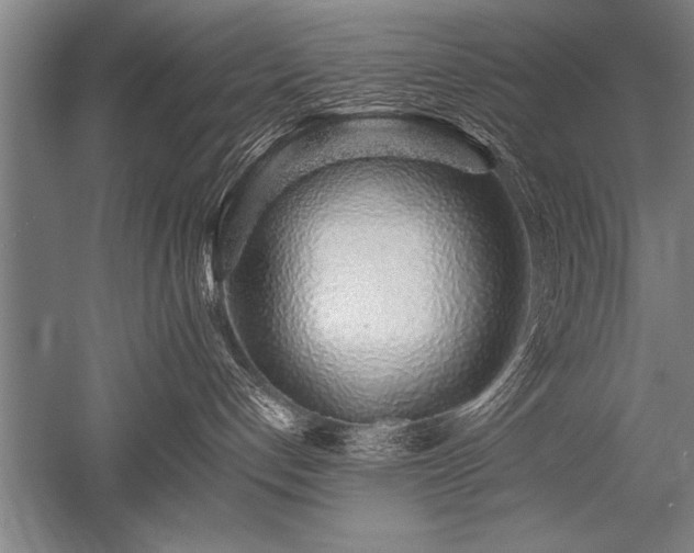 X0000052600192200507081830