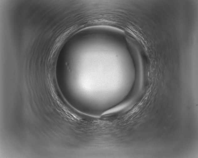 X0000052600193200507081829