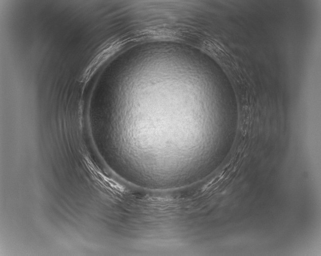 X0000052600194200507081829