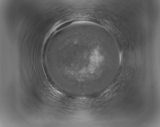 X0000052600195200507081829