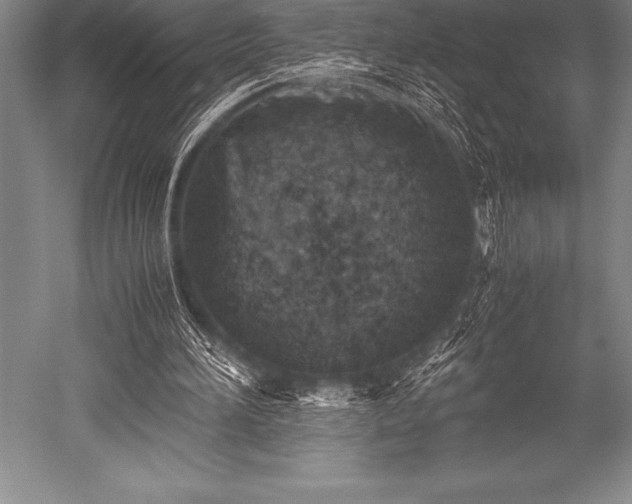 X0000052600196200507081829