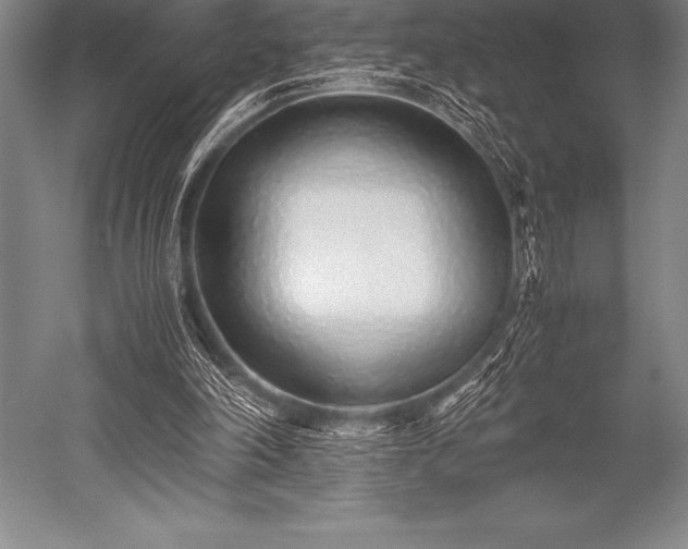X0000052600198200507081829