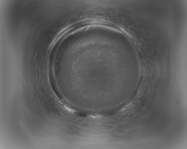 X0000052600199200507081829