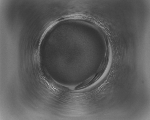 X0000052600200200507081829