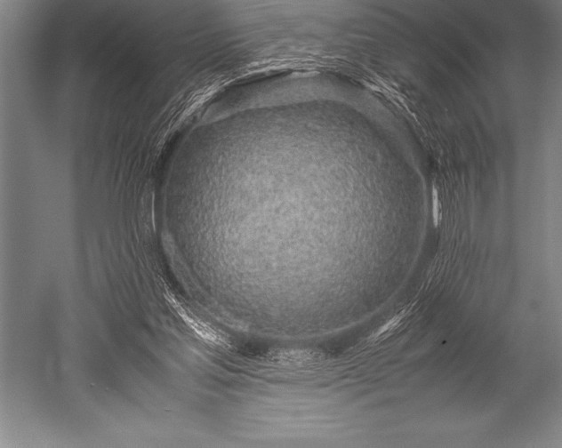 X0000052600205200507081829