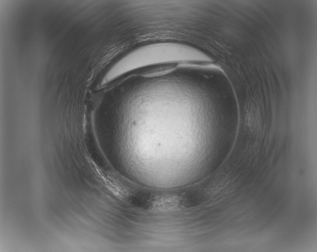 X0000052600206200507081829