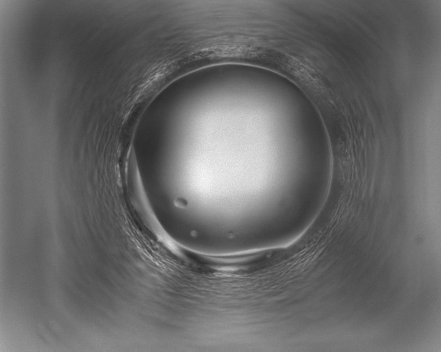 X0000052600207200507081829